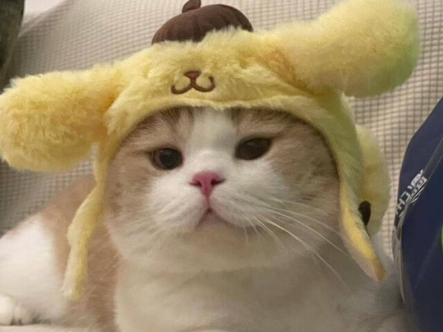 โnรฃo queroโ