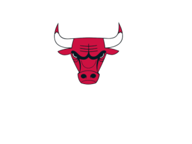 CHICAGO BULLS