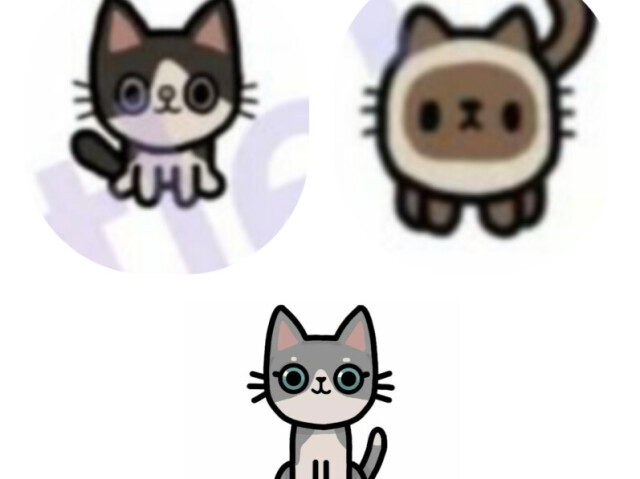 Gatinhos! ๐ฑ
(Desculpa a imagem cortada ๐
)