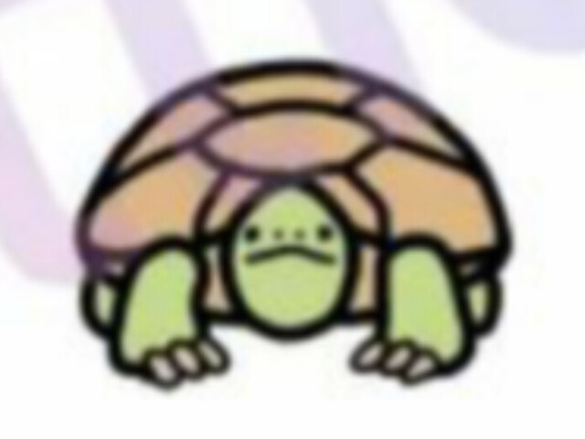 Uma turtle! ๐ข