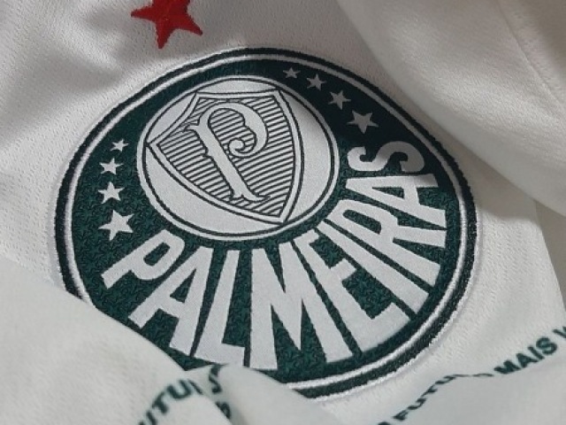 Palmeiras 💚