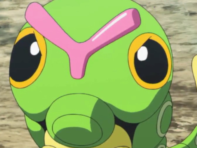 Caterpie