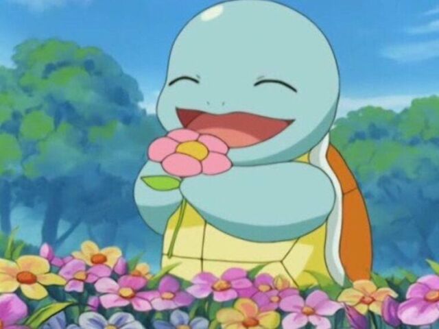 Squirtle