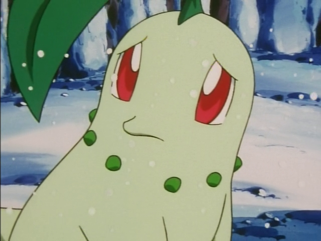 Chikorita