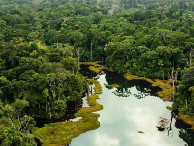 amazonia