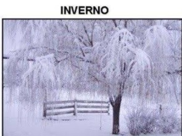 INVERNO