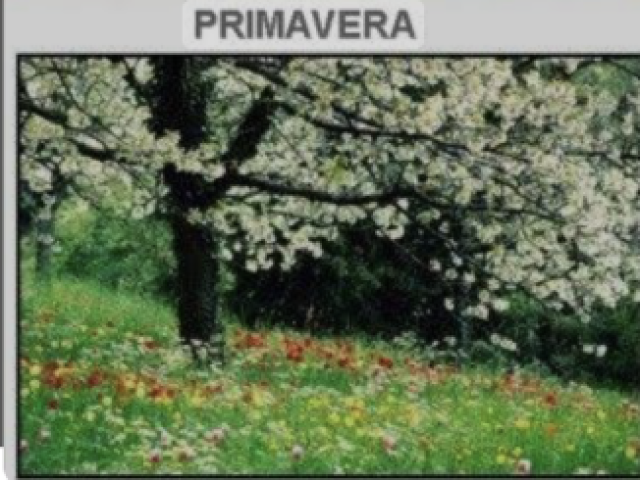 PRIMAVERA