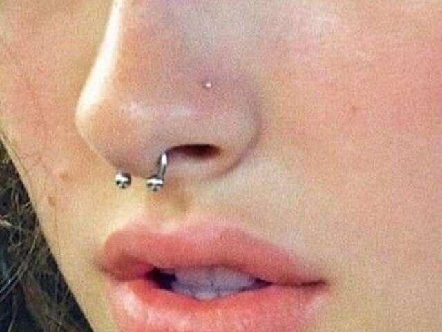 Septum