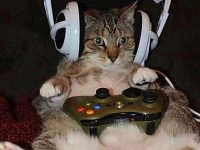 Gamer 😜🎮