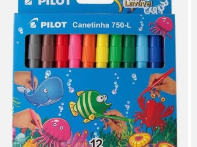 Pilot