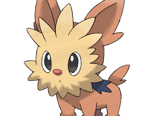 Lillipup