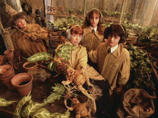 Herbology