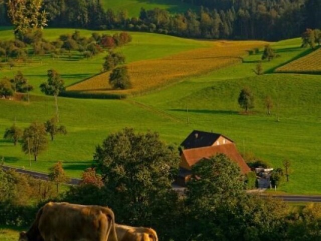 Na fazenda