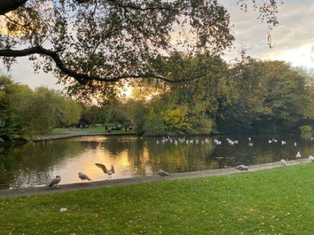 Um parque ao ar livre