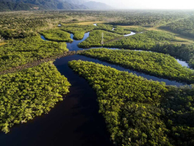 Caracteriza-se por não por deter grande biodiversidade na fauna e na flora.