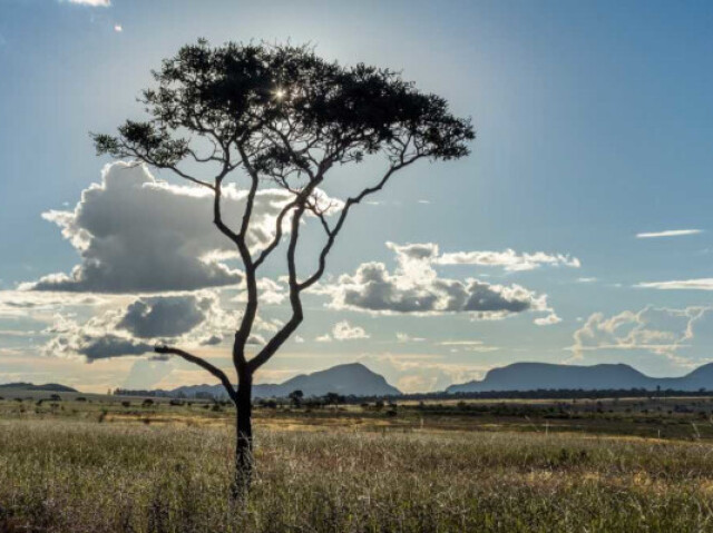 Conhecido como savana brasileira, apresenta grande biodiversidade e compreende uma área de elevado potencial aquífero.