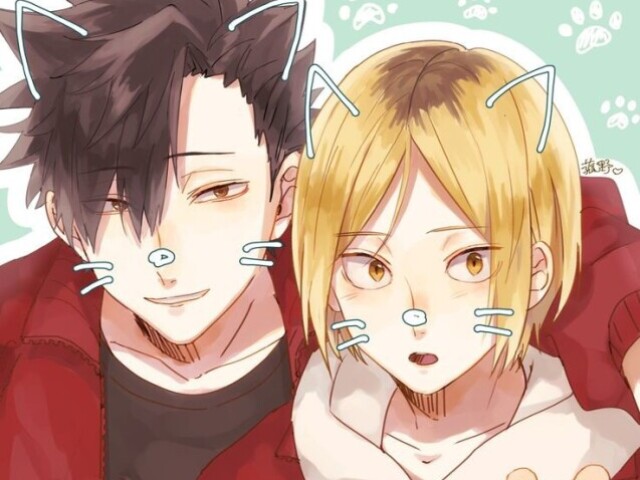 kuroken😱🐈