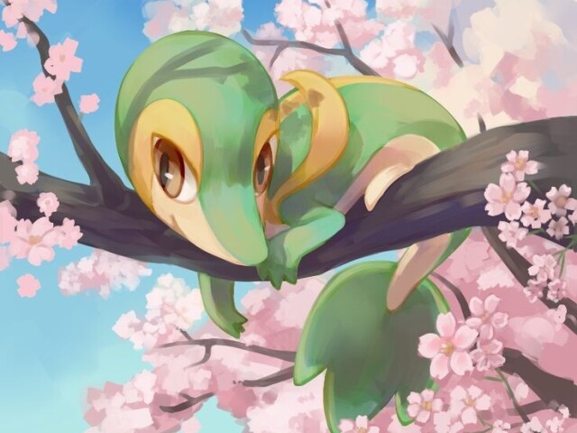 Snivy